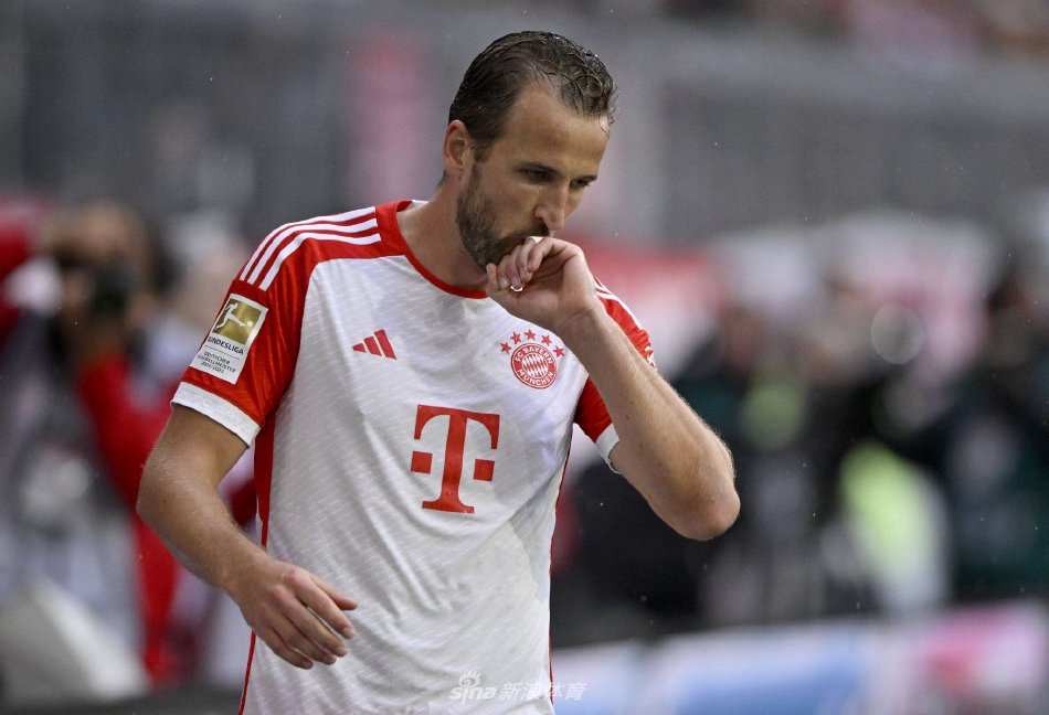 队将在欧洲 队将在欧洲